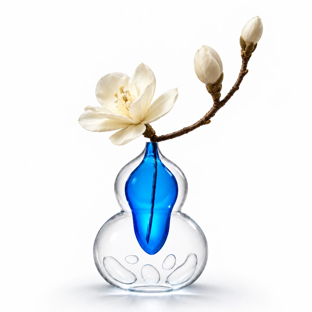 玉兰 / Magnolia Bloom